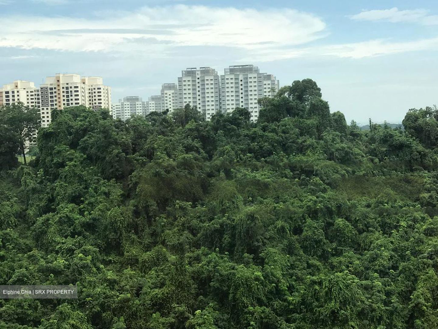 Blk 112B Depot Heights (Bukit Merah), HDB 5 Rooms #449209731